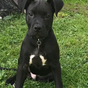 Meet your Posher, William